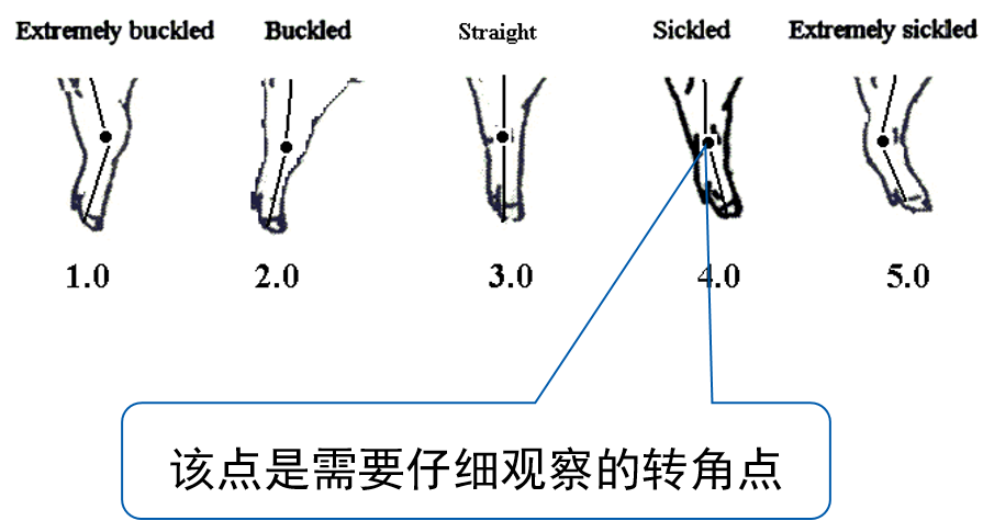 企業(yè)微信截圖_16781598796079.png