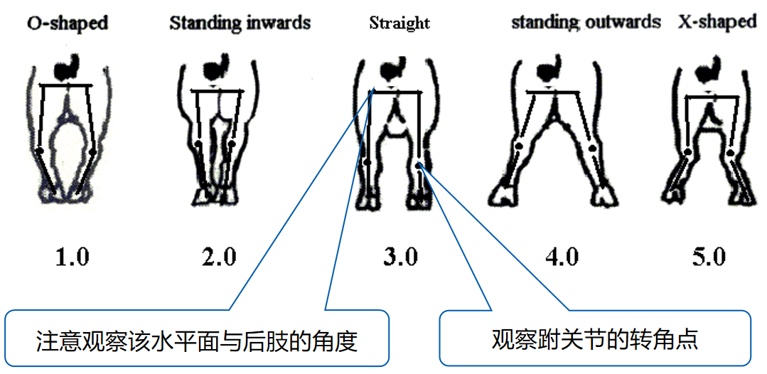 企業(yè)微信截圖_16781599691679.png