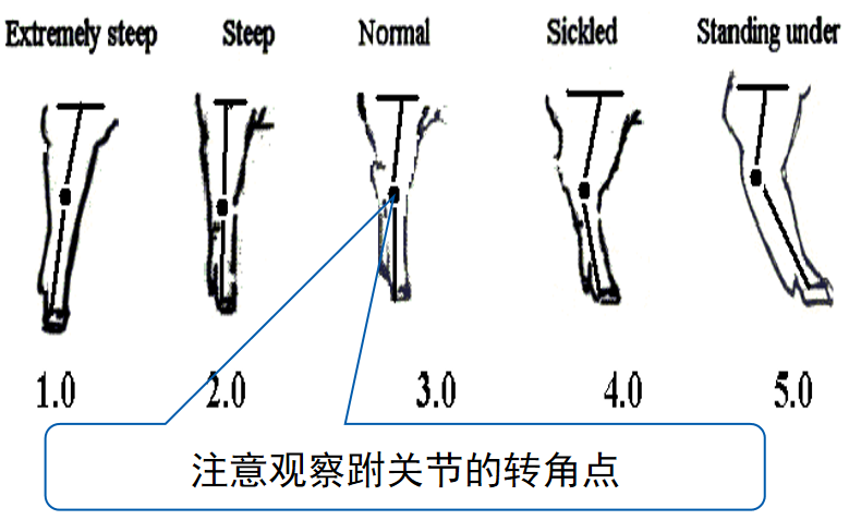 企業(yè)微信截圖_16781599927328.png